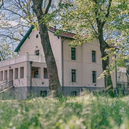 Bringa Villa バラトンレッレ エクステリア 写真