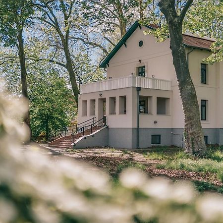 Bringa Villa バラトンレッレ エクステリア 写真